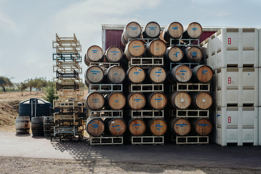 Harvest at a Willamette Valley winery